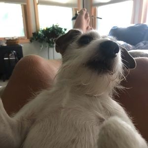 Meet your Posher, Vincent